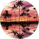 Nagamani M P profile picture