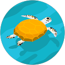 Elizabeth Anil George profile picture